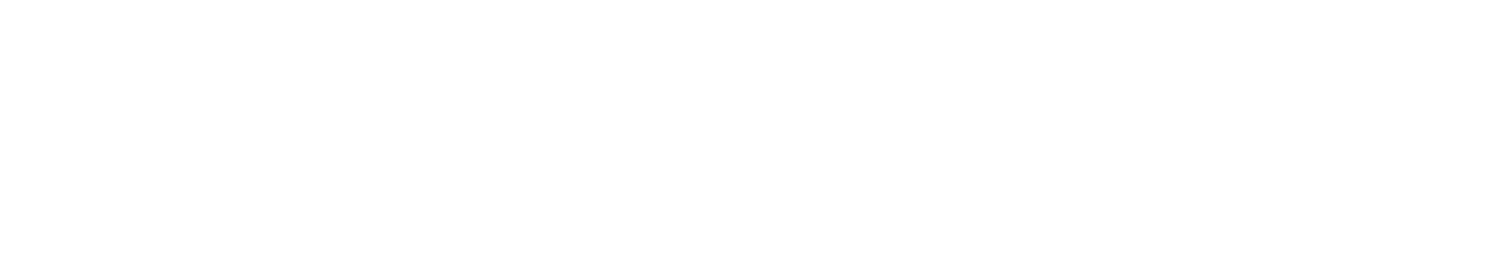 dintesdental.paladius.cz